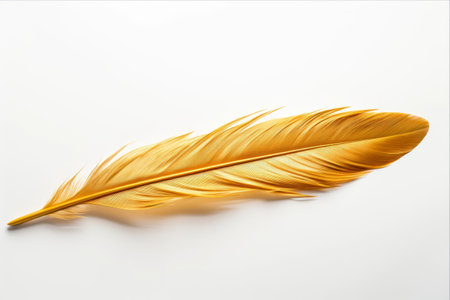 Gilded Elegance: A Golden Feather Unveiled on a Pristine White Canvasの素材