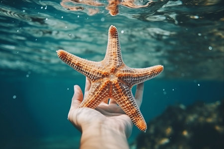 Aquatic Exploration: Journeying into the Depths with a Snorkeler's Hand and a Starfishの素材