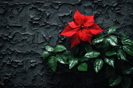 Nature's Vibrant Contrast: Red Flower Blooming on a Green Leaf Wallの素材