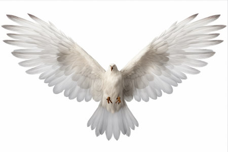 The Ethereal Beauty: A White Bird's Wings on Transparent PNG (Aspect Ratio 3:2)の素材