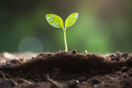 Unearthing the Vitality: The Bond between Young Green Plants and Soil - AR 3:2の素材