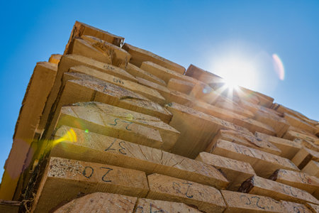Wooden boards, lumber, industrial wood, timber. View of pine boards from the bottom up Industrial...
