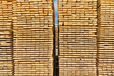 Stacks of wooden boards at lumberyard. background for advertising.の写真素材