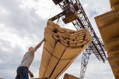 An active man in a helmet controls the loading of lumber with a crane. The view from below, the background of the sky in thick clouds.の写真素材