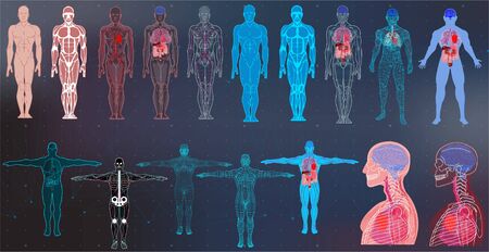 X-Ray Body Collections in Futuristic HUD SCI Style. Modern Scan of Internal Ograns and Human Body. Healthcare Images ( Structure and Arrangement of Organs and DNA Formula) Hud Sci vector collectionのイラスト素材