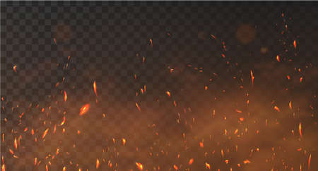 Realistic fire sparks background on a transparent background. Burning hot sparks effect with embers burning cinder and smoke flying in the air. Heat effect with glow and sparks from bonfire. Vectorのイラスト素材