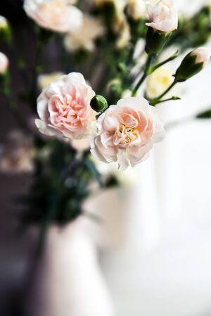 delicate bouquet of carnations in a vase vintage. romanceの写真素材