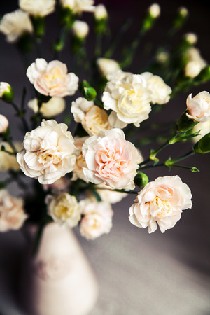 delicate bouquet of carnations in a vase vintage. romanceの写真素材