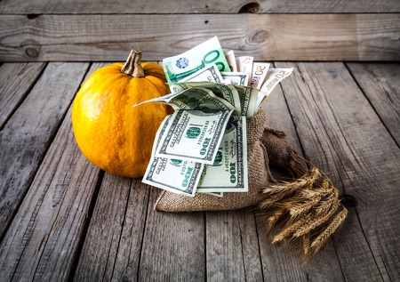 Wheat and dollar banknote in close upの写真素材