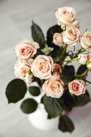 Beautiful bouquet of peach roses in vintage vase on a black backgroundの写真素材