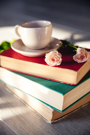 Beautiful bouquet of roses in the sun on the books with a cupの写真素材