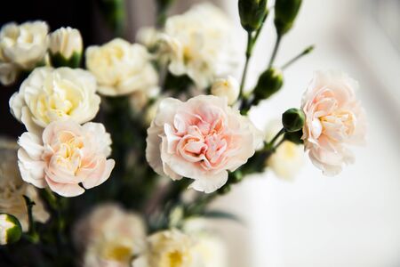 delicate bouquet of carnations in vintage styleの写真素材
