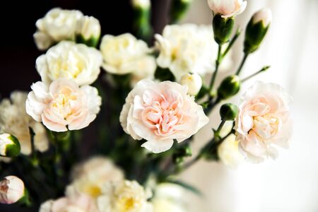 delicate bouquet of carnations in vintage styleの写真素材