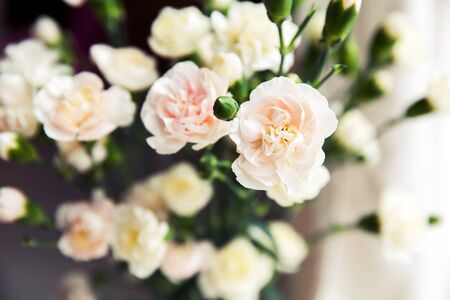 delicate bouquet of carnations in vintage styleの写真素材