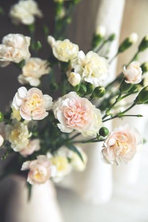 delicate bouquet of carnations in a vase vintage. romanceの写真素材