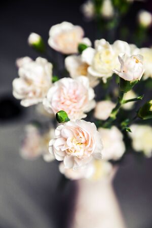 delicate bouquet of carnations in a vase vintage. romanceの写真素材
