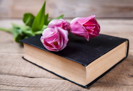 pink tulips on a pile of old booksの写真素材