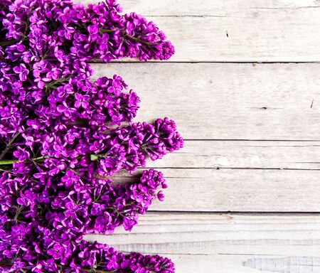 The beautiful lilac on a wooden backgroundの写真素材