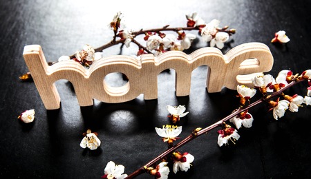 bloom on a black background and a wooden sign with the word houseの写真素材