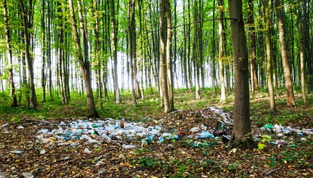 Beautiful forest contaminated debrisの写真素材