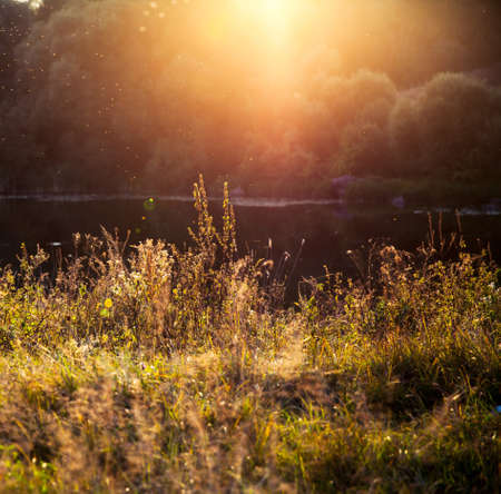 beautiful sunsetの写真素材