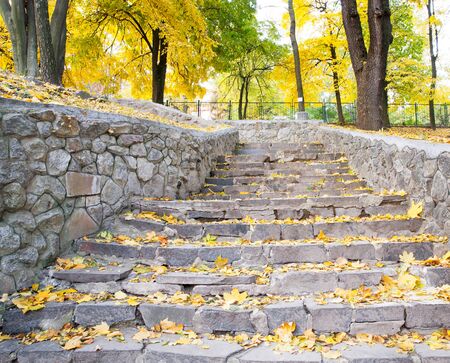 Old steps in a forest during the autumn time.