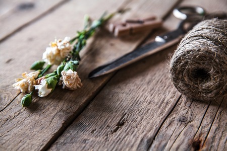 Faded carnations with old scissors and old thread, vintageの写真素材