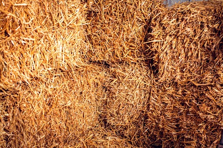 hay in the studio with stairs and applesの写真素材