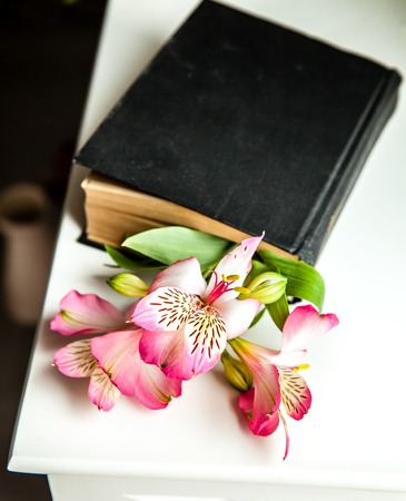 Alstroemeria flowers with book in vase on table on light backgroundの写真素材