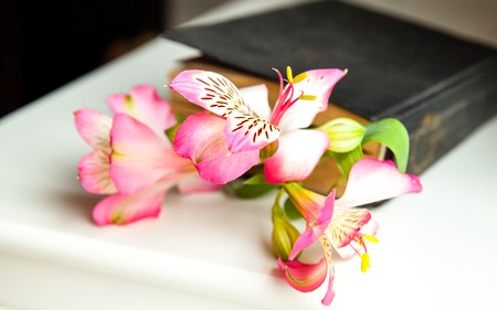 Alstroemeria flowers with book in vase on table on light backgroundの写真素材