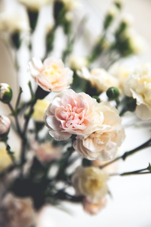 delicate bouquet of carnations in vintage styleの写真素材