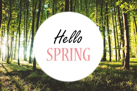 Hello may. Springの写真素材