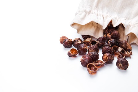 soap nuts on a white background poured from the bag.
