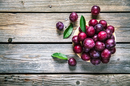 Old plate with plums over dark board. Top view. Fruits background with space for text. Agriculture, Gardening, Harvest Concept.の写真素材