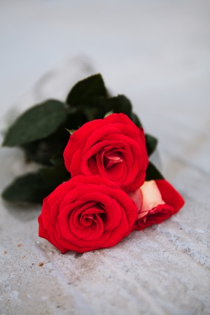 red roses on a wooden Boardの写真素材
