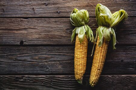 fresh corn on wooden table