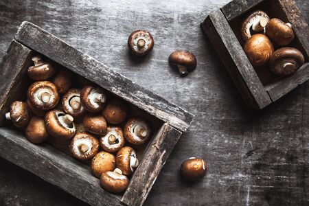 Royal mushrooms in a box on a dark background.