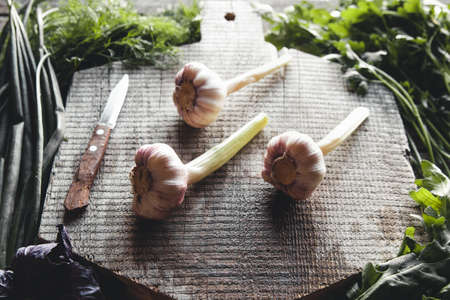Garlic on an old on a cutting board, onion, dill, parsley. Vegetarian food, health.の写真素材