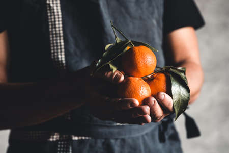 Ripe juicy sweet orange mandarins in a human hand against a dark background. PNOV2019の写真素材