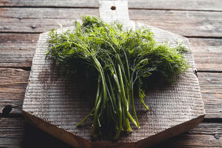 Fresh green dill on the wooden cutting board closeup. Fresh herbal condiment dill for cooking.の写真素材