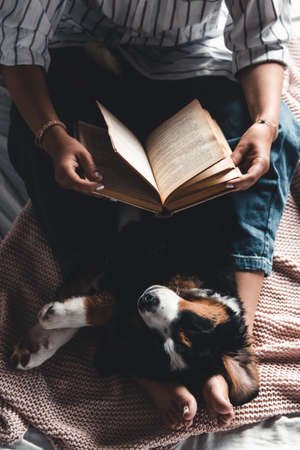 woman and dog lifestyle image. Bernese Mountain Dog is sleeping in his arms.