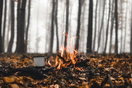 Bonfire in the forest in the eveningの写真素材