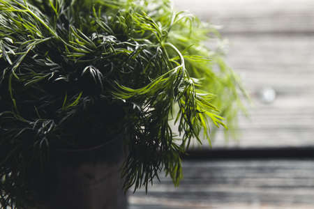 bunch of dill on wooden backgroundの写真素材