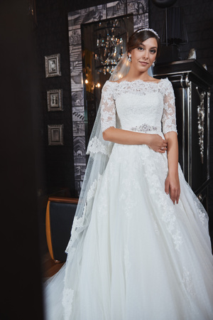 Beautiful Bride Portrait wedding makeup, wedding hairstyleの写真素材