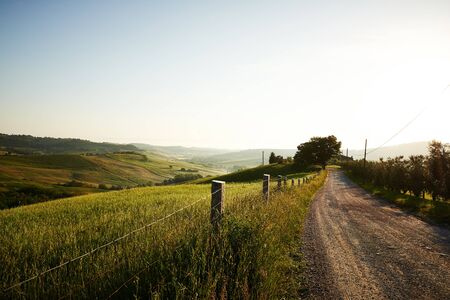 Classic Tuscan views in spring sunset time,  Pienza, Italyの写真素材
