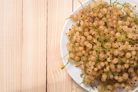 Plate with white currant. Top viewの写真素材
