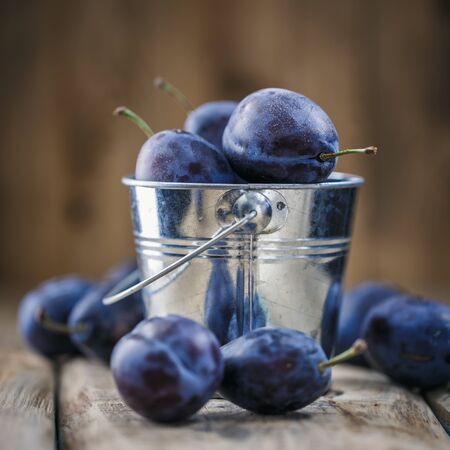 Freshly picked plums in a bucket on a wooden backgroundの写真素材