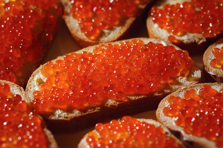 Background from sandwiches with caviar, close-upの写真素材