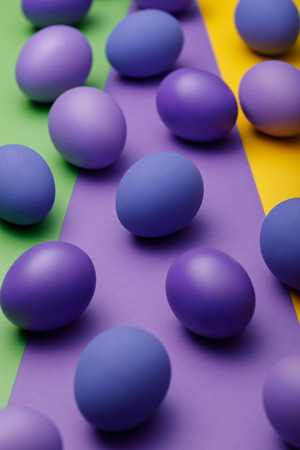 Purple easter eggs on a colored backgroundの写真素材