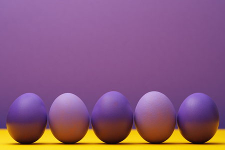 Chicken eggs colored in purple with space for textの写真素材